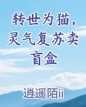 转世为猫，灵气复苏卖盲盒